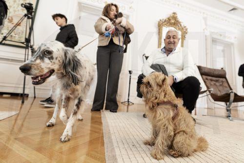 (Ξένη Δημοσίευση) Έλληνες πολίτες που επαναπατρίστηκαν από τη Μέση Ανατολή μαζί με τα ζώα συντροφιάς τους, μέσω της ειδικής πτήσης που οργάνωσε το Υπουργείο Εξωτερικών σε συνεργασία με την Aegean, υποδέχτηκε σήμερα ο Πρωθυπουργός Κυριάκος Μητσοτάκης στο Μέγαρο Μαξίμου. Σάββατο 21 Μαρτίου 2026. Ο Πρωθυπουργός είχε την ευκαιρία να συνομιλήσει με τους...