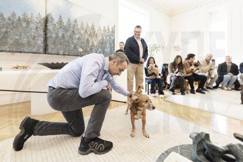 (Ξένη Δημοσίευση) Έλληνες πολίτες που επαναπατρίστηκαν από τη Μέση Ανατολή μαζί με τα ζώα συντροφιάς τους, μέσω της ειδικής πτήσης που οργάνωσε το Υπουργείο Εξωτερικών σε συνεργασία με την Aegean, υποδέχτηκε σήμερα ο Πρωθυπουργός Κυριάκος Μητσοτάκης στο Μέγαρο Μαξίμου. Σάββατο 21 Μαρτίου 2026. Ο Πρωθυπουργός είχε την ευκαιρία να συνομιλήσει με τους...