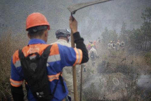 epa12901512 Members of the Honduran Fire Service walk through the area affected by a forest fire in the village of La Montanita, east of Tegucigalpa, Honduras, 19 April 2026.  EPA/Gustavo Amador
