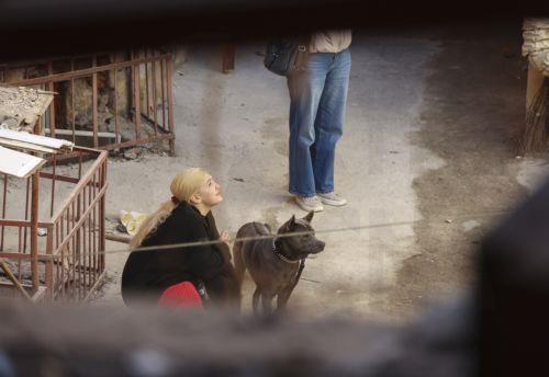 epa12916864 A local woman with a dog reacts at the site of the Russian strike on a residential area in Odesa, Ukraine, 27 April 2026, amid the Russian invasion. At least 14 people were injured, including two children, after an overnight Russian attack on Odesa, according to the head of the Odesa regional military administration, Oleg Kiper.  EPA/IGOR MASLOV