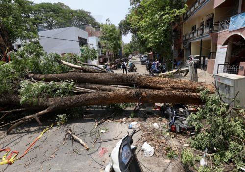 epa12923716 Uprooted trees and broken branches following heavy overnight rain in Bangalore, India, 30 April 2026. The city was affected by over 111.5 mm of rainfall and strong winds on 29 April. More than 170 trees were uprooted, and many branches were broken due to lightning and thunderstorms. At least 10 people lost their lives in rain-related incidents...