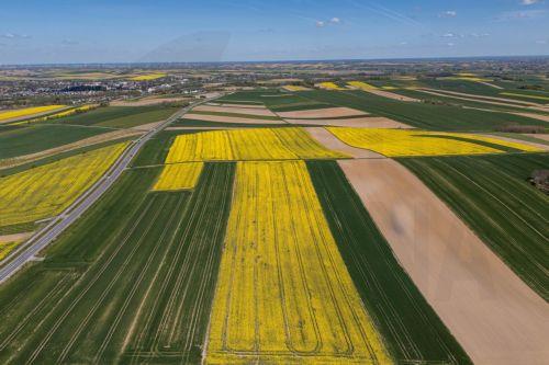 epa12929362 A view of rapeseed fields in bloom near Zuklin, southeastern Poland, 02 May 2026 (issued 03 May 2026).  Poland is one of top EU producers of rapeseed for high-quality edible oils and sustainable biofuels.  EPA/DAREK DELMANOWICZ POLAND OUT