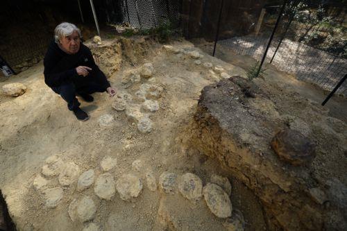 epa12952278 Geologist Alain Cabot poses with dinosaur eggs at the Dinosaur Museum-Park in Meze, southern France, 12 May 2026 (issued 13 May 2026).  Founder of the park, Alain Cabot, has discovered dozens of fossilised eggs in French territory. The discovery of about 100 dinosaur eggs dating back approximately 72 million years makes this deposit one of the...