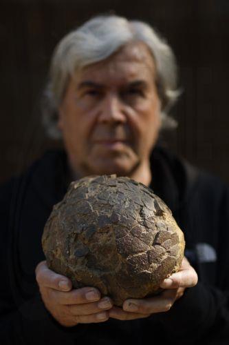 epa12952285 Geologist Alain Cabot poses with a dinosaur egg at the Dinosaur Museum-Park in Meze, southern France, 12 May 2026 (issued 13 May 2026). Founder of the park, Alain Cabot, has discovered dozens of fossilised eggs in French territory. The discovery of about 100 dinosaur eggs dating back approximately 72 million years makes this deposit one of the...