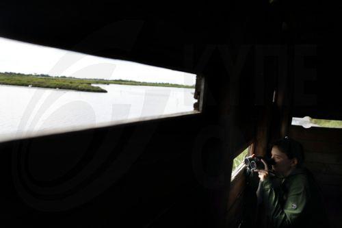 epa12972099 A woman observes greater flamingos (Phoenicopterus roseus) at the Pont de Gau Ornithological Park in the Camargue area, near Saintes-Maries-de-la-Mer, France, 18 May 2026. The park is known for allowing visitors to observe flamingos and other bird species in their natural habitat. The Camargue, already recognized as a UNESCO Biosphere Reserve,...