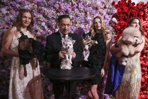 epa12972608 Dogs and human models participate in the 'Pet Gala' in New York, New York, USA, 18 May 2026. During the event, canines are dressed in custom-made recreations of couture outfits worn by celebrities to the 2026 Met Gala.  EPA/SARAH YENESEL
