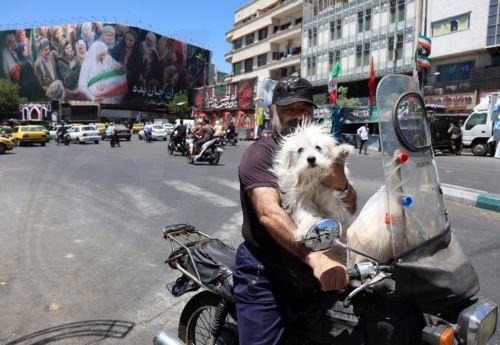 epa12992444 A man with his dog drives in a street in Tehran, Iran, 25 May 2026. The US and Iran voiced optimism regarding a potential peace agreement and the reopening of the Strait of Hormuz, though both sides emphasized that no such deal has been reached yet.  EPA/ABEDIN TAHERKENAREH