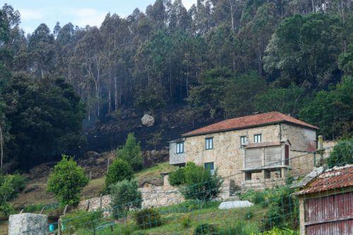epa13036104 A view of a burned area near a house after a forest fire broke out near the town of Padron, Galicia, northwestern Spain, 14 June 2026.  EPA/XOAN REY