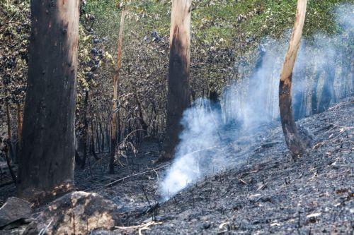 epa13036107 Smoke rises from a burned area after a forest fire broke out near the town of Padron, Galicia, northwestern Spain, 14 June 2026.  EPA/XOAN REY
