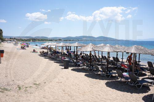 Λουόμενοι απολαμβάνουν το μπάνιο τους σε παραλία της Χαλκιδικής, Κυριακή  21 Ιουνίου 2026. ΑΠΕ-ΜΠΕ/ΑΠΕ-ΜΠΕ/ΑΛΚΗΣ ΚΟΥΠΙΔΗΣ