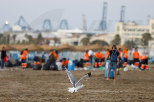 epa13060126 A seagull flies as workers clean the Malvarrosa Beach after the Night of San Juan celebrations in Valencia, Spain, 24 June 2026. To welcome the summer solstice, Spain comes alive during the Night of San Juan from 23 to 24 June. The celebration features bonfires on beaches and town squares, culminating at midnight when crowds rush into the...