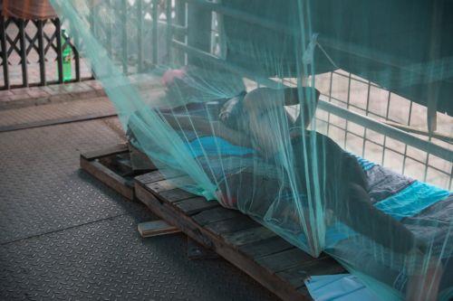 epa13082129 A Bangladeshi man sleeps at the Sadarghat launch terminal premises on the Buriganga River using mosquito nets to protect him from mosquito bites in Dhaka, Bangladesh, 03 July 2026. According to health ministry data, Bangladesh had recorded 5,924 dengue cases and 18 deaths this year. Heavy rainfall, warm temperatures and high humidity have...