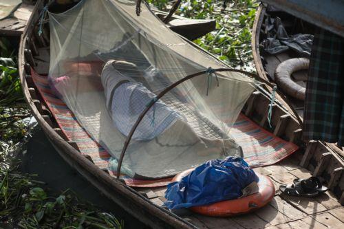 epa13082132 A Bangladeshi boatman sleeps on a boat, using mosquito nets to protect himself from mosquito bites, near the Buriganga River launch terminal in Dhaka, Bangladesh, 03 July 2026. According to health ministry data, Bangladesh had recorded 5,924 dengue cases and 18 deaths this year. Heavy rainfall, warm temperatures and high humidity have created...