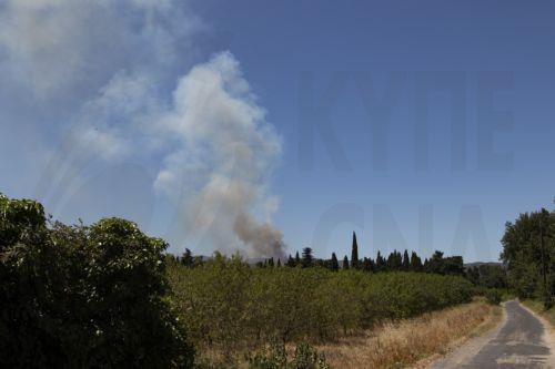 epa13091783 ​Smoke rises from a wildfire burning in Ille-sur-Tet, southern France, 06 July 2026. The fire has scorched some 4,600 hectares in the foothills of the French Pyrenees and more thant 10.000 people have been ordered to leave, local ​prefect Pierre Regnault de la Mothe said.  EPA/CHLOE REULET