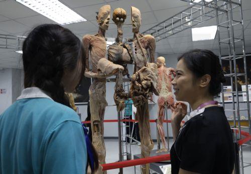 epa13116880 Assistant Professor Nuttha Klincumhom (R) explains human anatomy and organ specimens to a Thai student at the Museum of Human Body in Chulalongkorn University in Bangkok, Thailand, 17 July 2026. Opened in mid-2012, Thailand's Museum of Human Body is one of eleven such museums globally and the first in Southeast Asia exhibiting 131 donated...