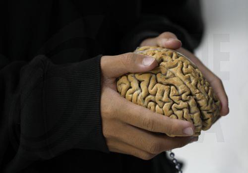 epa13116884 A Thai student experiences the weight of a human brain specimen at the Museum of Human Body in Chulalongkorn University in Bangkok, Thailand, 17 July 2026. Opened in mid-2012, Thailand's Museum of Human Body is one of eleven such museums globally and the first in Southeast Asia exhibiting 131 donated specimens preserved through plastination...