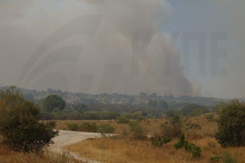 epa13129834 View of a column of smoke from a wildfire in Pelayos de la Presa, near Madrid, Spain, 24 July 2026. Commanders of the operation against the forest fire affecting the southwest of the Autonomous Community of Madrid ordered the evacuation of the municipalities of Chapinería, Navas del Rey, and Colmenar del Arroyo on 24 July as the fire fronts...