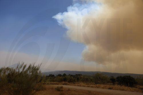 epa13129874 A column of smoke from a wildfire rises over the skyline in Pelayos de la Presa municipality, Community of Madrid, Spain, 24 July 2026. Commanders of the operation against the forest fire affecting the southwest of the Autonomous Community of Madrid ordered the evacuation of the municipalities of Chapineria, Navas del Rey, and Colmenar del...