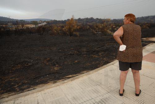 epa13131536 A person stands near burnt land in the aftermath of wildfires in the village of Villa del Prado, Madrid, Spain, 25 July 2026. The fires have forced 60,000 residents from their homes and burned more than 20,000 hectares.  EPA/MARISCAL