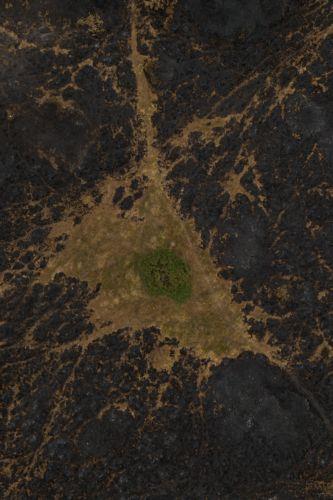 epa13135883 An aerial photograph taken with a drone of a bush surrounded by wildfire damage in Halkyn, Britain, 27 July 2026. A drought was declared by Natural Resources Wales in North Wales and the Upper Severn on 23 July after a prolonged period of hot, dry weather.  EPA/ADAM VAUGHAN