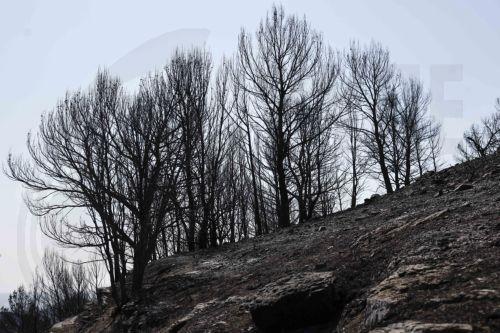 epa13141270 Burnt land following a wildfire at La Vall d'Uixo, Castellon, Spain, 30 July 2026. The fire, which was declared on 25 July 2026, is still not under control and has already burned 9,300 hectares, with a perimeter of 84 kilometers.  EPA/KAI FOERSTERLING