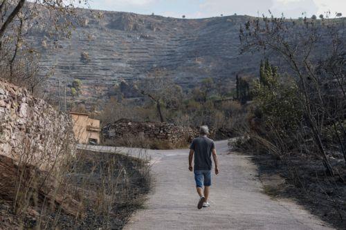 epa13186128 Burnt land is seen in the background in Gatova, Valencia, Spain, 23 August 2026. The fire, caused by lightning on 20 August in Segorbe, Castellon, has been stabilized, according to the Emergency Services.  EPA/MANUEL BRUQUE