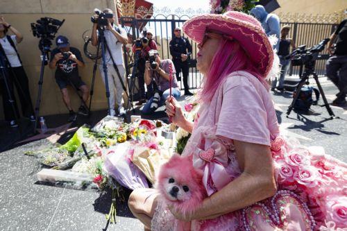 epa13191550 Kitten Kay Sera arrives dressed in pink in memory of singer and actress Dolly Parton at her Hollywood Walk of Fame star following her death in Hollywood, California, USA, 25 August 2026. Parton died at the age of 80.  EPA/CHRIS TORRES