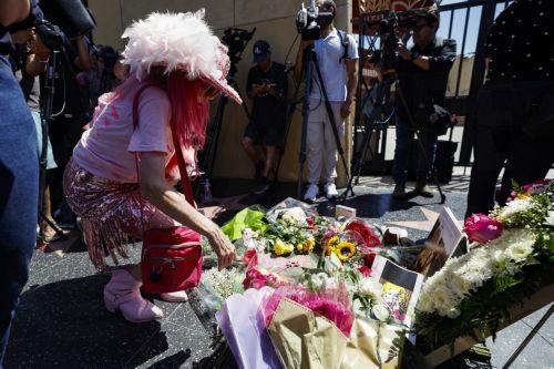 epa13191551 Kitten Kay Sera arrives dressed in pink in memory of singer and actress Dolly Parton at her Hollywood Walk of Fame star following her death in Hollywood, California, USA, 25 August 2026. Parton died at the age of 80.  EPA/CHRIS TORRES