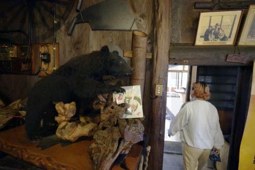 epa13238479 A stuffed Asian black bear is displayed at the restaurant Suzukaen serving gibier meat in Chichibu, Saitama prefecture, northeast of Tokyo, Japan, 09 September 2026 (issued 14 September 2026). Suzukaen, a restaurant specializing in game meat, is one of the few establishments in Japan to feature bear on its menu, amid unprecedented rise in bear...