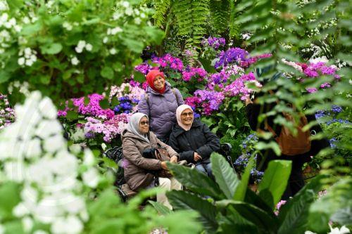 epa13243048 People take a photo together amongst flowers in the Conservatory at Fitzroy Gardens in Melbourne, Australia, 16 September 2026.  EPA/JAMES ROSS AUSTRALIA AND NEW ZEALAND OUT