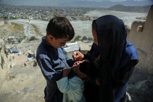 epa13254088 A health worker administers a polio vaccine to a child during a door-to-door vaccination campaign in Kabul, Afghanistan, 21 September 2026. Afghanistan has launched a polio vaccination campaign as part of synchronized immunization efforts with neighboring Pakistan to curb the spread of wild poliovirus. Afghanistan has reported 25 wild poliovirus...