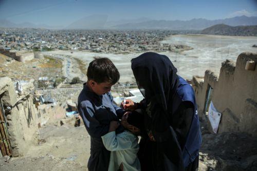 epa13254095 A health worker administers a polio vaccine to a child during a door-to-door vaccination campaign in Kabul, Afghanistan, 21 September 2026. Afghanistan has launched a polio vaccination campaign as part of synchronized immunization efforts with neighboring Pakistan to curb the spread of wild poliovirus. Afghanistan has reported 25 wild poliovirus...