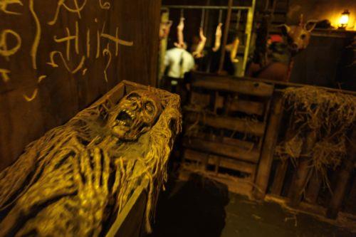 epa13261624 People attend the opening day of the 'Sounds of Screams' Halloween theme park in Miami, Florida, USA, 24 September 2026. 'Sounds of Screams' is a Halloween-themed amusement park in Miami featuring haunted houses, live scare actors, and horror-themed attractions.  EPA/CRISTOBAL HERRERA-ULASHKEVICH