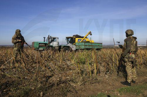 epa13277317 Ukrainian servicemen guard farmers from Russian drones as they harvest sunflowers near a frontline in the Zaporizhzhia region, Ukraine, 02 October 2026, amid the ongoing Russian invasion. The territory close to the frontline is extremely dangerous due to Russian FPV drones.  EPA/OLEG MOVCHANIUK