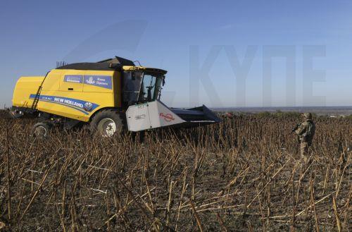 epa13277319 Ukrainian servicemen guard farmers from Russian drones as they harvest sunflowers near a frontline in the Zaporizhzhia region, Ukraine, 02 October 2026, amid the ongoing Russian invasion. The territory close to the frontline is extremely dangerous due to Russian FPV drones.  EPA/OLEG MOVCHANIUK