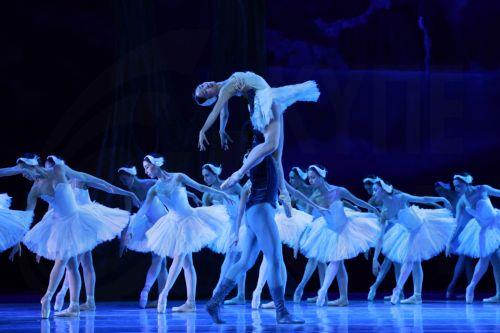 epa13283909 Dancers from the National Dance Company (CND) participate in the rehearsal of the ballet 'Swan Lake', at the National Auditorium in Mexico City, Mexico, 05 October 2026.  EPA/Mario Guzman