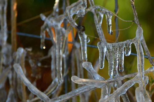 Παγετός σημειώθηκε στην Αργολίδα τις πρωινές ώρες με τον υδράργυρο να  φτάνει τους -3 βαθμούς Κελσίου στο μετεωρολογικό σταθμό της Πυργέλας στο Άργος, Πέμπτη 2 Φεβρουαρίου 2023.  Κατά τόπους μέσα στον Αργολικό κάμπο καταγράφηκαν από τους αγρότες ακόμα πιο χαμηλές θερμοκρασίες που άγγιξαν τους -4 ή και ακόμα τους -5 βαθμούς Κελσίου. ΑΠΕ-ΜΠΕ...