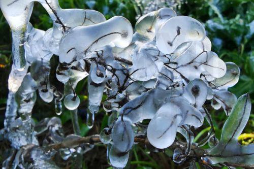 Παγετός σημειώθηκε στην Αργολίδα τις πρωινές ώρες με τον υδράργυρο να  φτάνει τους -3 βαθμούς Κελσίου στο μετεωρολογικό σταθμό της Πυργέλας στο Άργος, Πέμπτη 2 Φεβρουαρίου 2023.  Κατά τόπους μέσα στον Αργολικό κάμπο καταγράφηκαν από τους αγρότες ακόμα πιο χαμηλές θερμοκρασίες που άγγιξαν τους -4 ή και ακόμα τους -5 βαθμούς Κελσίου. ΑΠΕ-ΜΠΕ...