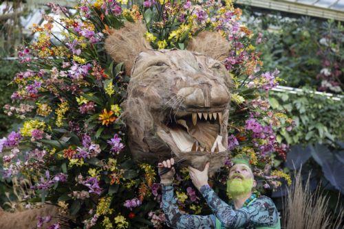 epa10444048 Horticulturists pose with hand-crafted floral displays during a photocall for Kew Gardensâ€™ annual Orchid Festival at the Princess of Wales Conservatory in London, Britain, 02 February 2023. The festival displays Cameroonâ€™s biodiversity and features thousands of colourful orchids and it will run from 04 February to 05 March 2023.  EPA/TOLGA...