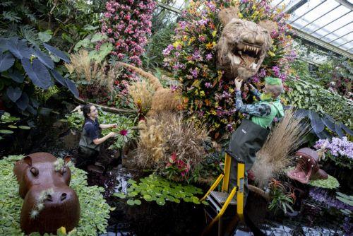 epa10444051 Horticulturists pose with hand-crafted floral displays during a photocall for Kew Gardensâ€™ annual Orchid Festival at the Princess of Wales Conservatory in London, Britain, 02 February 2023. The festival displays Cameroonâ€™s biodiversity and features thousands of colourful orchids and it will run from 04 February to 05 March 2023.  EPA/TOLGA...