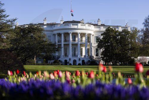 epa10550675 Flowers on the South Lawn ahead of the White House's annual Spring Garden Tour in Washington, DC, USA, 30 March 2023. About 40,000 members of the public will tour the White House grounds this spring, which are the oldest publicly maintained landscape in the United States.  EPA/JIM LO SCALZO