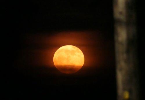 Η πανσέληνος του Ιουνίου ή αλλιώς το "Φεγγάρι της Φράουλας" έκανε την εμφάνισή της στον νυχτερινό ουρανό της Κύπρου, Κυριακή 4 Ιουνίου 2023. Η πανσέληνος ονομάζεται και ως "Φεγγάρι της Φράουλας" γιατί αυτός ο μήνας είναι ο κατάλληλος για τη συγκομιδή της φράουλας. ΚΥΠΕ/ΚΑΤΙΑ ΧΡΙΣΤΟΔΟΥΛΟΥ