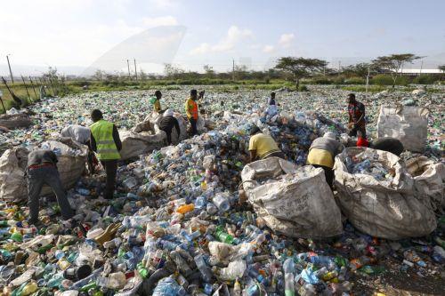 epa10674431 Workers sort out plastic bottles at the T3 EPZ Limited, a local company that recycles polyethylene terephthalate (PET) plastic bottles into PET flakes for export, on World Environment Day in Machakos, Kenya, 05 June 2023. The world marks the 2023 Environment Day on 05 June with a focus on 'solutions to plastic pollution'.  EPA/DANIEL IRUNGU ...