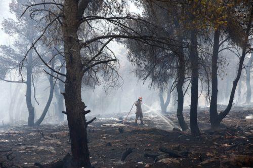 epa10839745 A firefighter sprays water during a wildfire in Stamata, near Athens, Greece, 04 September 2023.  EPA/Yannis Kolesidis