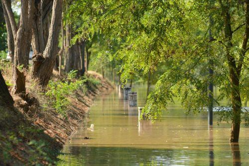 Το ποτάμι του Πηνειού, μέσα στην πόλη της Λάρισας, την Παρασκευής 8 Σεπτεμβρίου 2023. Τα πλημμυρικά φαινόμενα άρχισαν να χτυπούν, από χθες αργά το βράδυ και την πόλη της Λάρισας, κυρίως τις συνοικίες που βρίσκονται κοντά στο Πηνειό Ποταμό, καθώς σημειώνεται υπερχείλιση των φρεατίων με μεγάλη ποσότητα νερού από το ποτάμι. Δυνάμεις της Πυροσβεστικής προχωρούν...