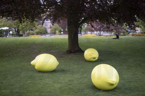 epa11307802 The sculpture 'Mein Traum vom Sueden' by German artist Irene Hoppenberg at the international outdoor art exhibition 'Bad Ragartz' in Bad Ragaz, Switzerland, 28 April 2024 (issued 29 April 2024). The exhibition officially opens on 04 May and runs until 30 October. Artworks by 88 artists are on display.  EPA/GIAN EHRENZELLER