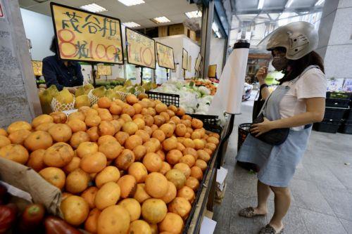 epa11307905 A Taiwanese residents checks oranges put for sale in Taipei, Taiwan, 29 March 2024. China is set to resume importing citrus fruit and two varieties of fish from Taiwan as long as they adhere to quarantine standards, as announced by Zhao Zenglian, the vice minister of China's General Administration of Customs, on 28 March. The ban on these...