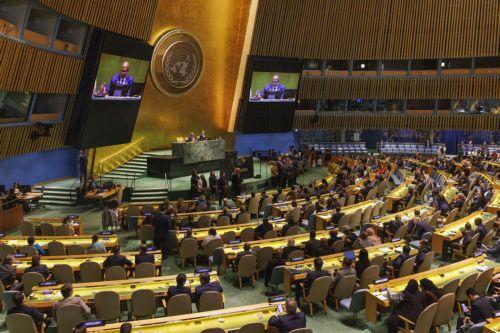 epa11393501 Members of the General Assembly at the United Nations conclude the voting process, at the United Nations headquarters in New York, USA, 06 June 2024. United Nations members vote for the new non-permanent members of the Security Council.  EPA/SARAH YENESEL