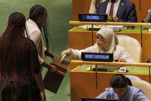 epa11393503 A member of the General Assembly from Brunei Darussalam submits their ballot, at the United Nations headquarters in New York, USA, 06 June 2024. United Nations members vote for the new non-permanent members of the Security Council.  EPA/SARAH YENESEL