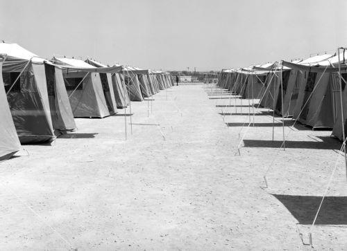 ΦΩΤΟΓΡΑΦΙΑ ΑΡΧΕΙΟ ΓΤΠ/ Αύγουστος του 1974. Το δάσος της Άχνας μετατρέπεται σε καταφύγιο χιλιάδων προσφύγων. Από χωριά της Μεσαορίας, της Αμμοχώστου και της Κερύνειας. Σκηνές ανθρώπινου πόνου και δυστυχίας που συγκλονίζουν. Παιδιά κοιμούνται στο χώμα, μάνες που κλαίνε σκοτωμένα ή αγνοούμενα παιδιά. Άνθρωποι που δεν έχουν τα βασικά φαγητό και ρούχα.Φέτος...